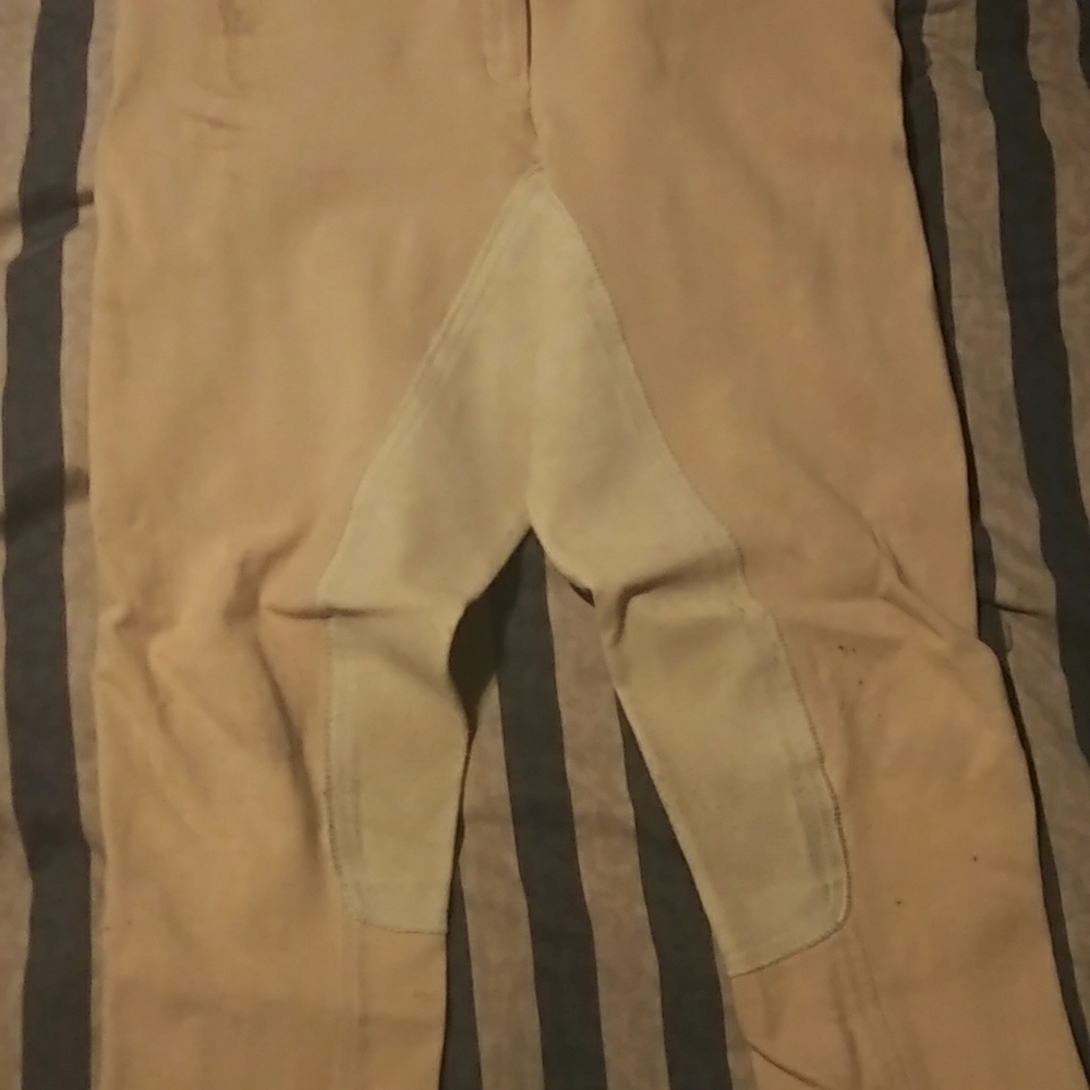 Equi Comfort Suede Full Seat Breeches 34